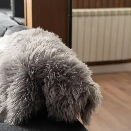 Appartement El Alamo Apto Nuevo 2 2 Banos En Zona Baja